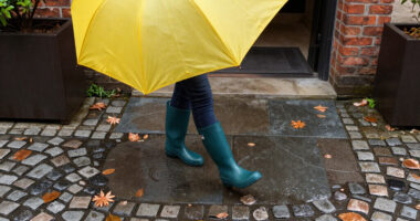 15 Best Designer Rain Boots for Everyday Style in 2026