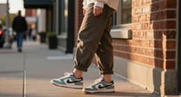 12 Best Nike Dunk Sneakers for Everyday Style in 2027