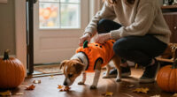 15 Best Halloween Costumes for Pets in 2027